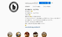 おうち猫カフェねこやすみ・Instagram