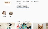 ねこカフェNew Journey・Instagram