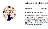 里親募集型保護猫カフェねこまち・Instagram