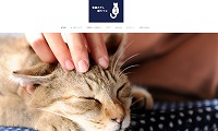 里親さがし猫カフェおっぽ・ホームページ