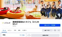 譲渡型保護ねこカフェにじのはし・Facebook