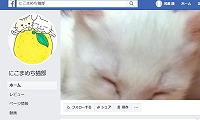 にこまめち猫部・Facebook