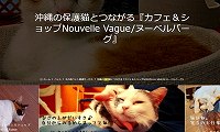 保護猫とつながるカフェ&ショップ ヌーベルバーグ・ホームページ