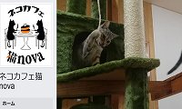 ネコカフェ猫nova・Facebook