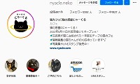 猫の惑星にゃーくる・Instagram