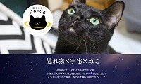 猫の惑星にゃーくる・ホームページ