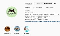 保護猫カフェNyacotto・Instagram