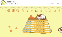 保護猫カフェにゃんこはうす・ホームページ