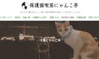 保護猫喫茶十条にゃんこ亭・ホームページ