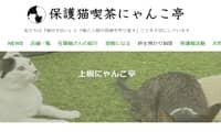 保護猫喫茶上板にゃんこ亭・ホームページ