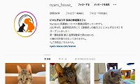 にゃんずはうす・Instagram