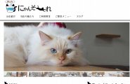 猫cafeにゃんそーれ・ホームページ