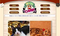 猫カフェにゃん太郎・ホームページ
