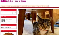 保護猫とカフェニャンとぴあ・ホームページ