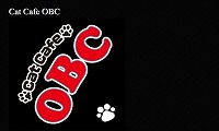 Cat Cafe OBC・ホームページ