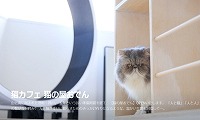 猫の屋おでん・ホームページ