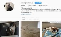 保護猫カフェおむすび・Instagram