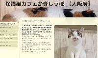 保護猫カフェかぎしっぽ・ホームページ