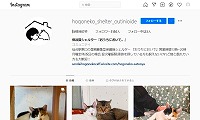 保護猫シェルターおうちにおいで。・Instagram