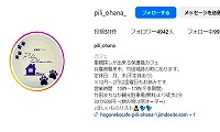 保護猫カフェPili Ohana・Instagram