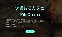 保護猫カフェPili Ohana・ホームページ
