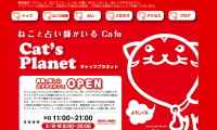 Cat's Planet