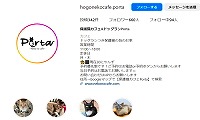 保護猫カフェPorta・Instagram