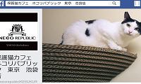 ネコリパブリック東京池袋店・Facebook