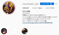 ネコリパブリック岐阜・Instagram