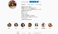 猫の月さくらやま・Instagram