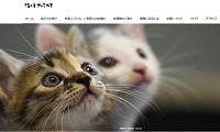猫の月さくらやま・ホームページ