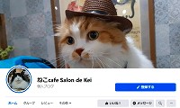 ねこcafe Salon de Kei・Facebook