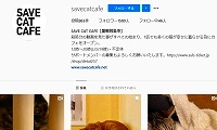 SAVE CAT CAFE・Instagram