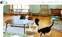 猫カフェしっぽ・ホームページ