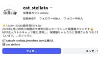 保護猫カフェstellata・Instagram