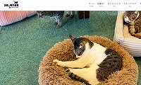保護猫カフェSU_NYAN・ホームページ