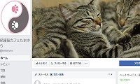 保護猫カフェたまゆら・Facebook
