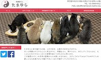 保護猫カフェたまゆら・ホームページ