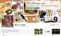 猫カフェタンゴ・Facebook