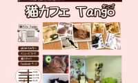 猫カフェタンゴ