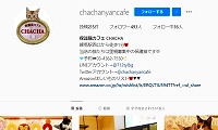 保護猫カフェCHACHA・Instagram