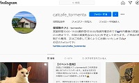 保護猫カフェTormenta・Instagram