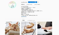cat cafeウイヤツメ・Instagram