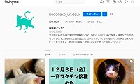 保護猫アンドゥ・Instagram