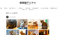 保護猫アンドゥ・ホームページ
