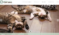 保護猫カフェウリエル・ホームページ