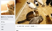 猫カフェうたたねFacebook