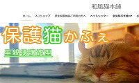 保護猫カフェ和風猫本舗・Instagram