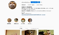 和風桶猫喫茶・Instagram