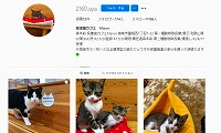 保護猫カフェMaron・Instagram